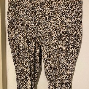 Cheetah pants hardly one wore once